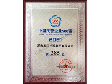 中國(guó)民營(yíng)企業(yè)500強(qiáng)第285位（2021年）